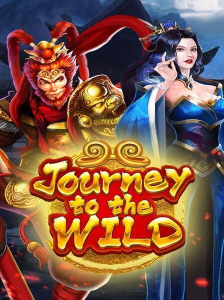 What to Know Before Signing Up for WheelSpin Casino