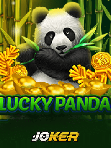 Finding Community and Fun at AnonCasino: Join Us Today